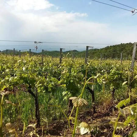 Milic Zagrski Rupinpiccolo